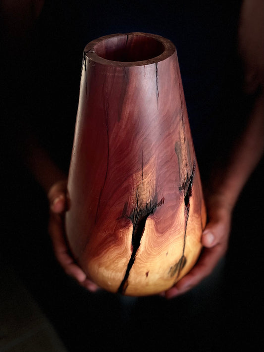 One-of-a-kind Manzanita wood vase. 15”H x 8”dia