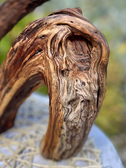 Unique Manzanita tree sculpture.