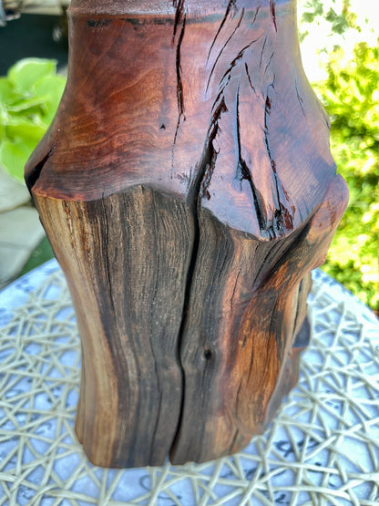 A truly unique Manzanita tree vase/sculpture 15"H. Wooden vase. Wooden home decor.